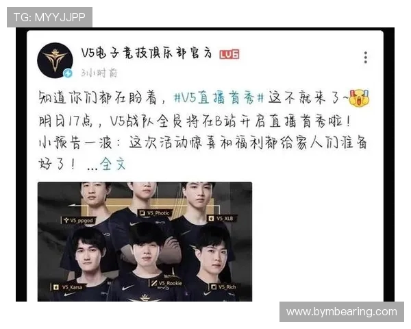 V5战队技术解析与策略探讨助力英雄联盟赛场表现提升