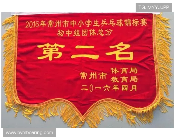 南京乒乓球队的速度之美探索与发展之路